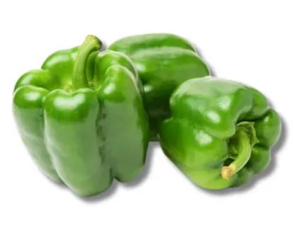 Capsicum (Green)