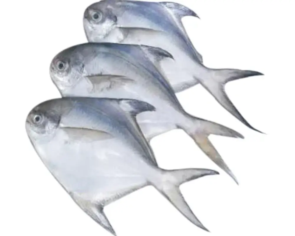 Shop Rupchanda Large at Shwapno.com | Shwapno Online Grocery Shopping ...