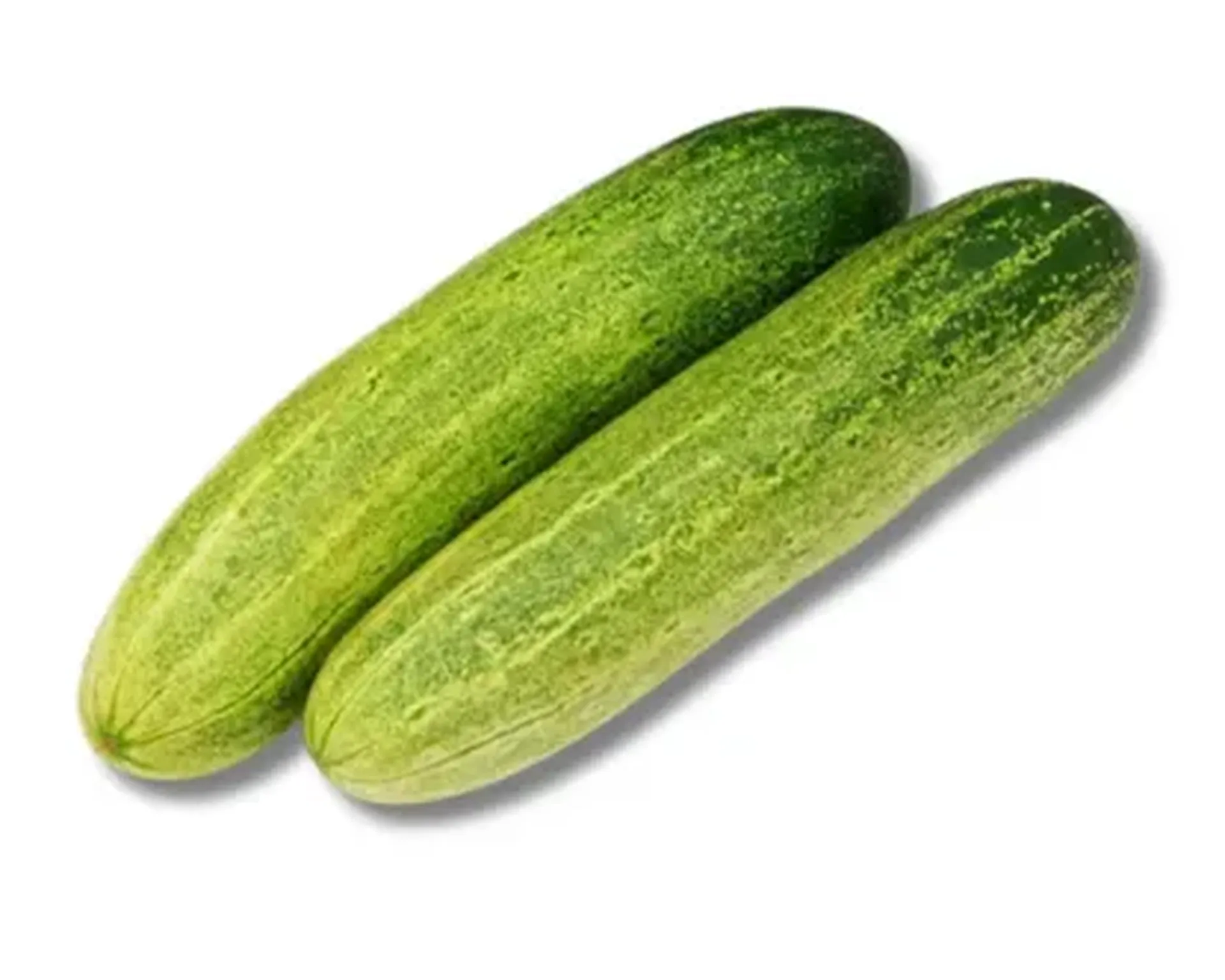 Shosha-Cucumber_1