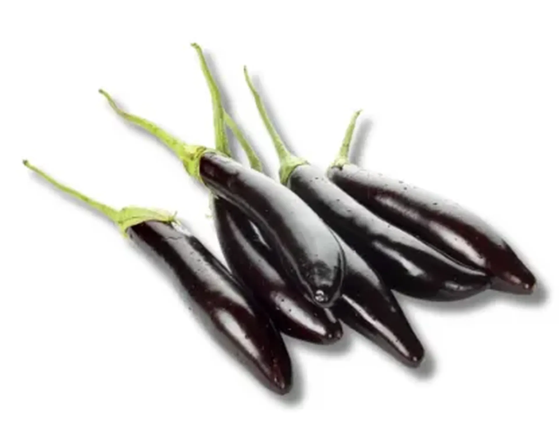 Lomba-Begun-Premium-Beguni-Brinjal-Long_1