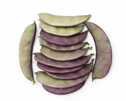 Katla Sheem (Bean)